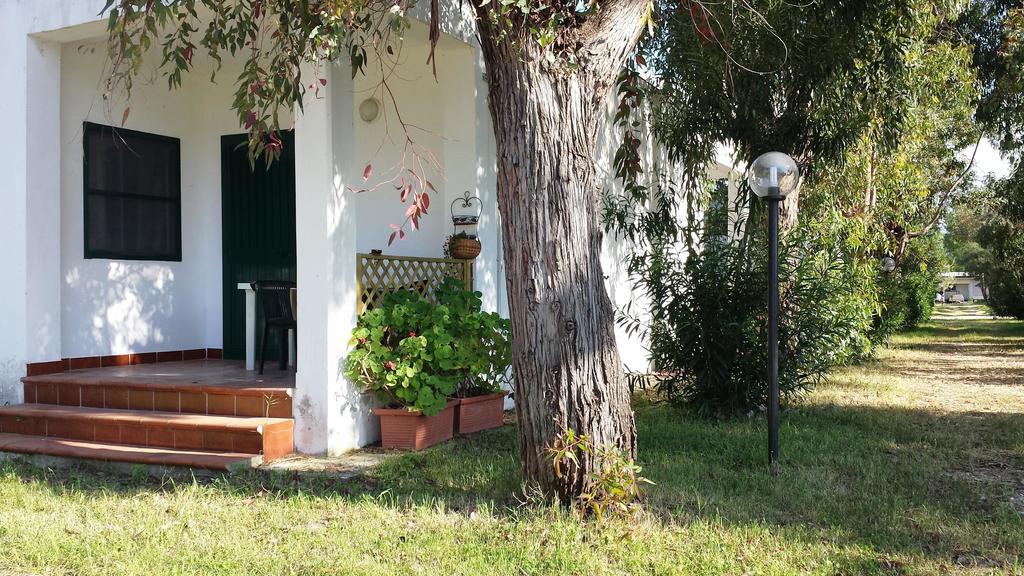 Villaggio Camping Rancho Cagnano Varano Oda fotoğraf